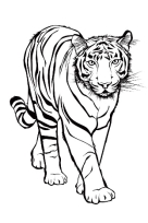 Розмальовка Тигр